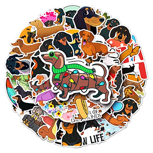 Dachshunds Sticker Set voor kinderen Tieners 50 stuks Dieren Waterdicht Vinyl Sticker Laptop Skateboard Koffer Helm Auto Fiets mobiele telefoon Motorrijwiel Bike Scrapbook