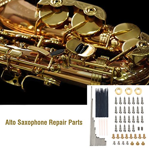 Alto Saxofon Repair Kits, mit Rollen, Nadelfedern, Rat Tail Schrauben, Reeds, Reed Schroeven, Einstellschrauben, Muttern,rund kopf Schrauben