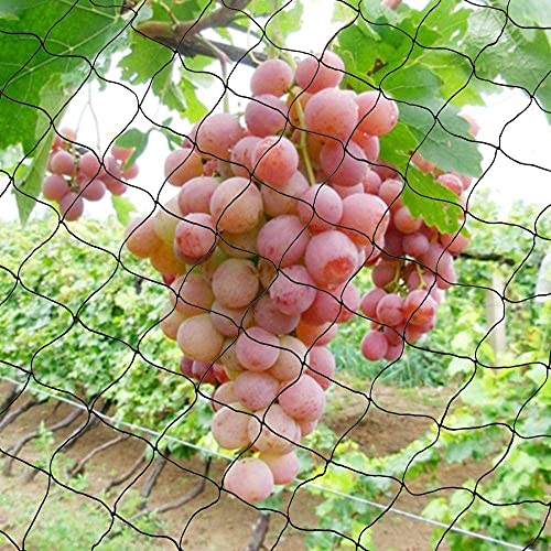 Vogelnet, Pond Net, 7 x 15 m, Geweven Net, Zwart, Robuust Net voor Tuin Planten Fruit Bloemen Groenten Hold Vogels Herten Dieren 5