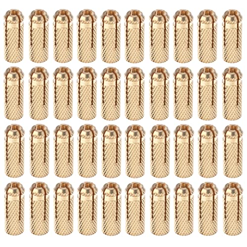 M6 Fischer Messing Plug Messing Drop in Ankers Drop in Ankers Messing voor het verankeren in betonnen metselstenen, natuurlijke harde stenen (Pack van 10) 5